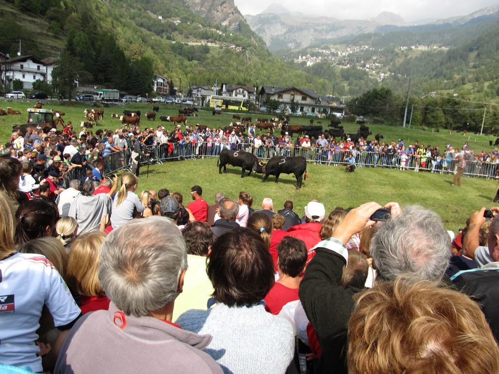 Miramonti Hotel Valtournenche Bagian luar foto